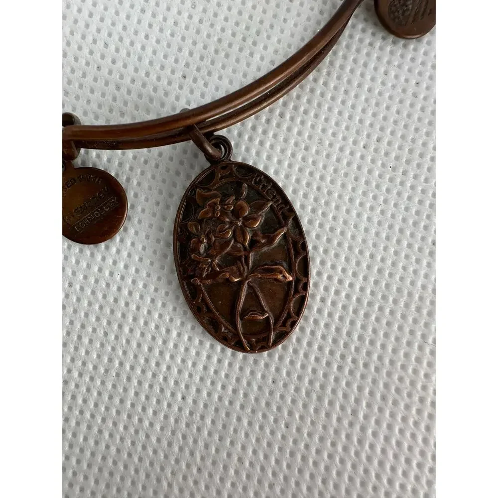 Alex and Ani great preowned
